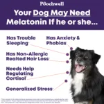 You dog may need melatonin he or she has trouble sleeping, anxiety or phobias, allergic hair loss, cortisol regulation, general stress.