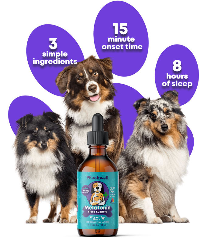 # Simple ingredients for your dog to have great sleep
